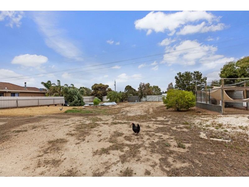12 Williams Road, Two Wells SA 5501