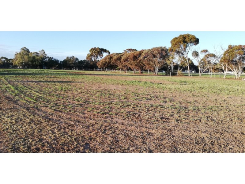 12 Williams Road, Two Wells SA 5501