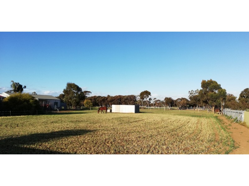 12 Williams Road, Two Wells SA 5501