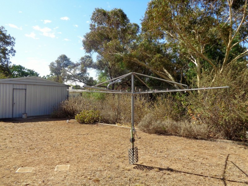 7 BUTLER STREET, Mallala SA 5502