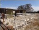 Lot 47 Germantown Road, Two Wells SA 5501