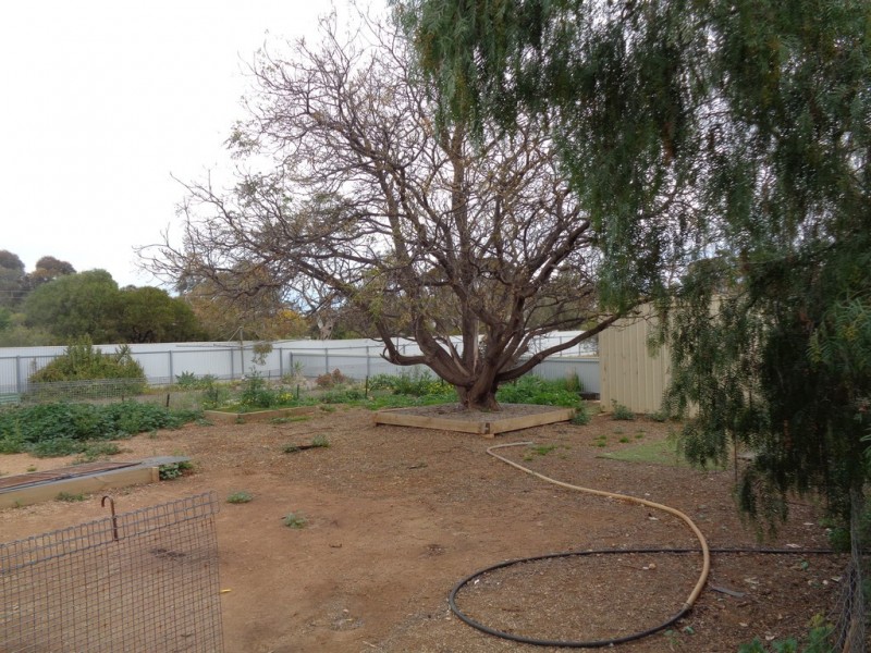 35 Sixth Street, Dublin SA 5501