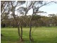 Lot 16 Hill Road, Mallala SA 5502