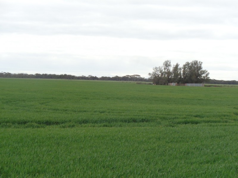 Lot 1 GAWLER ROAD, Two Wells SA 5501