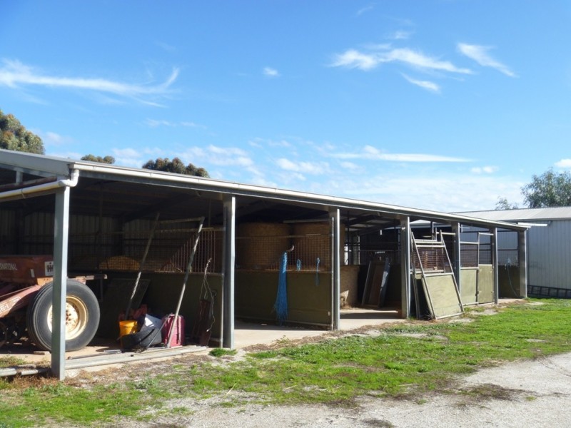 5 Lawrie Road, Lewiston SA 5501