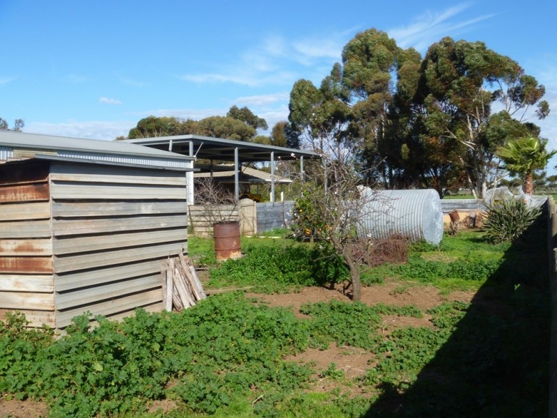 5 Lawrie Road, Lewiston SA 5501