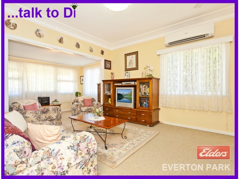 14 Mountridge Street, Everton Park QLD 4053