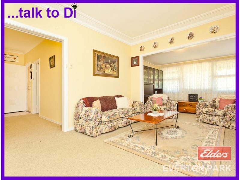 14 Mountridge Street, Everton Park QLD 4053