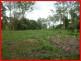 118 Soames Street, Everton Park QLD 4053
