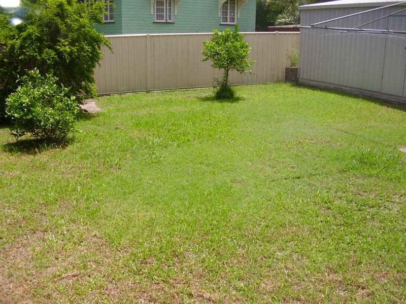 81 Farrington Street, Alderley QLD 4051