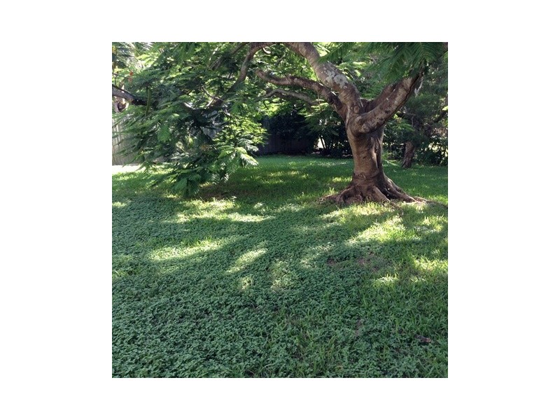 66 Fallon Street, Everton Park QLD 4053