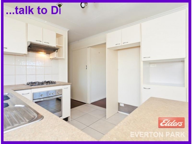 67 Pikeson Street, Everton Park QLD 4053