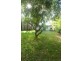 311 Wardell St, Enoggera QLD 4051