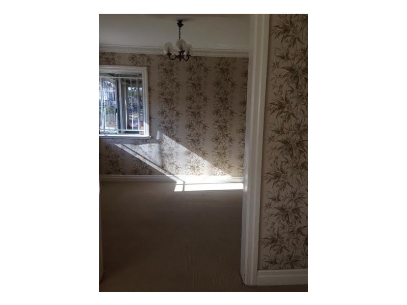 49 Pullen Road, Everton Park QLD 4053