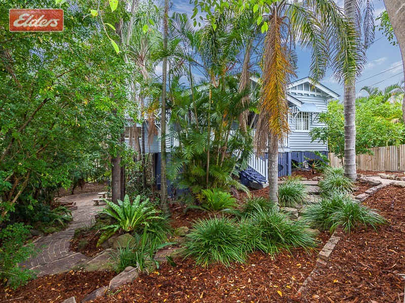 8 Mara Place, Ashgrove QLD 4060