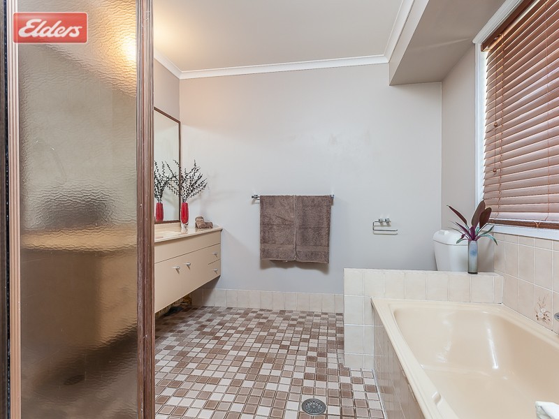 61 Hawbridge Street, Carseldine QLD 4034