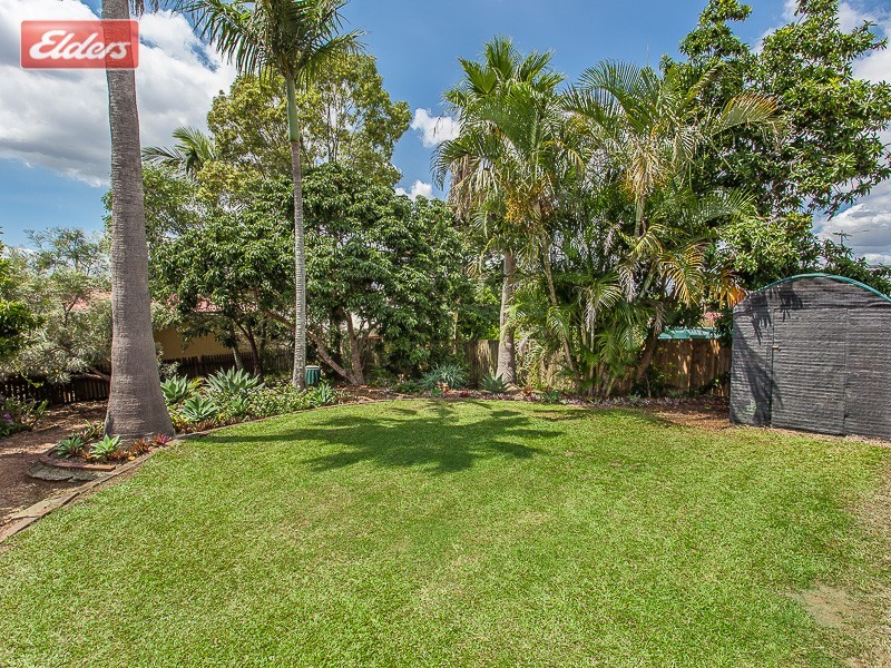 61 Hawbridge Street, Carseldine QLD 4034