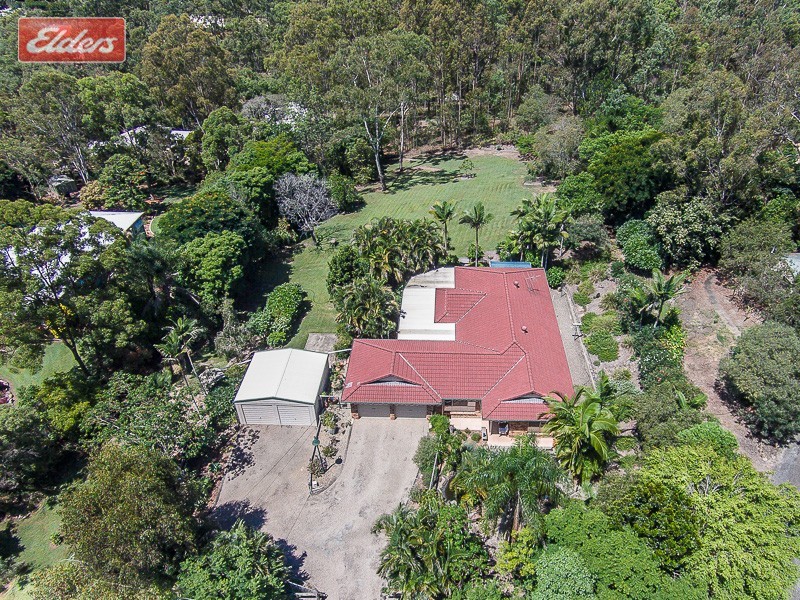 6 Rinn Avenue, Bunya QLD 4055