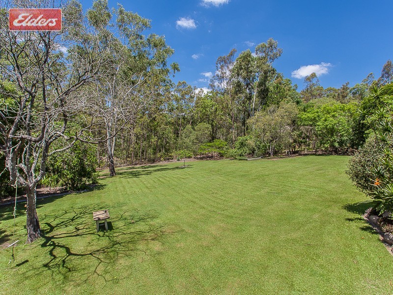 6 Rinn Avenue, Bunya QLD 4055
