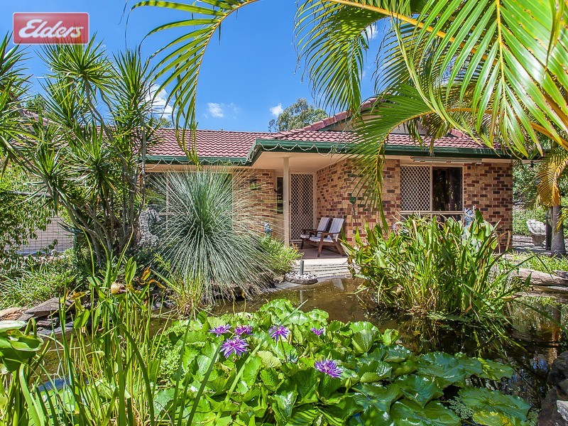 6 Rinn Avenue, Bunya QLD 4055