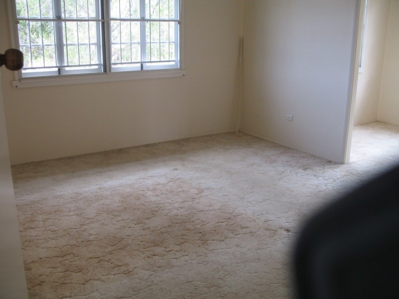 11 Sunny Avenue, Wavell Heights QLD 4012