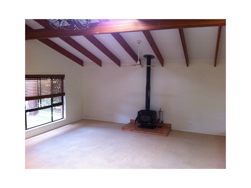 31 Cobalt Street, Keperra QLD 4054