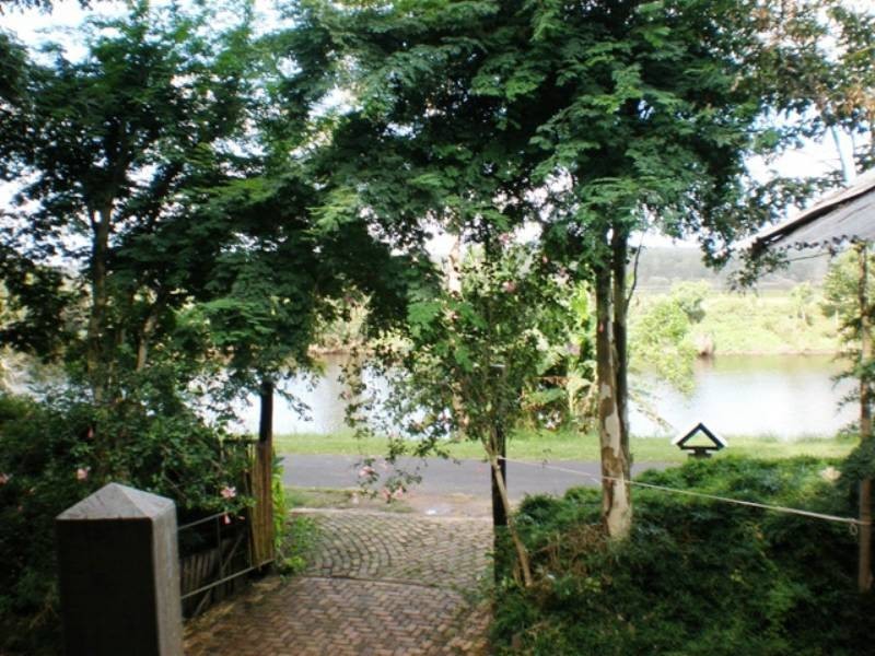 384 Lower Coldstream Road, Ulmarra NSW 2462