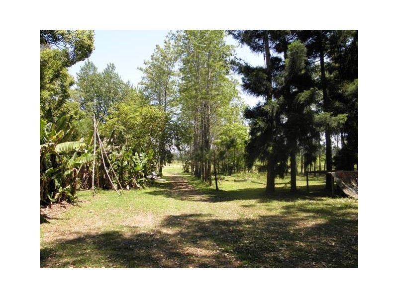 384 Lower Coldstream Road, Ulmarra NSW 2462