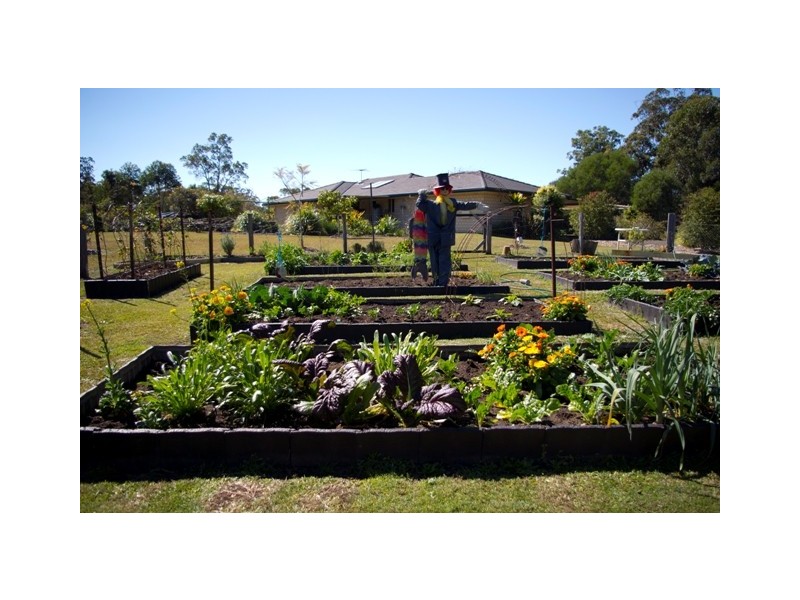 Ashby Heights NSW 2463