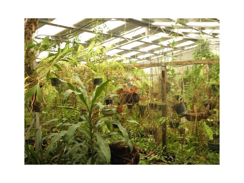 2963 Pacific Highway, Tyndale NSW 2460