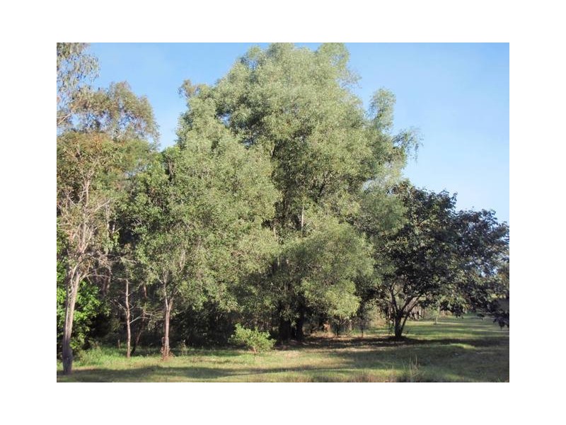Lot 521 Pottery Lane, Woombah NSW 2469