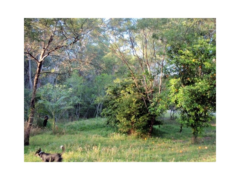 Lot 521 Pottery Lane, Woombah NSW 2469