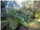 Lot 521 Pottery Lane, Woombah NSW 2469