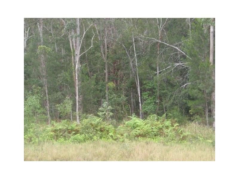 Lot 95 Upper Shark Creek Road, Shark Creek NSW 2463