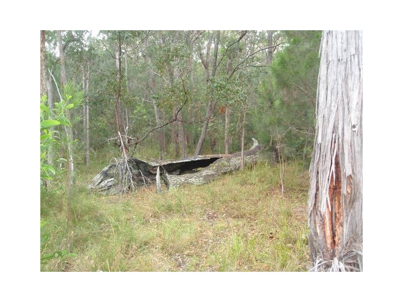 Lot 95 Upper Shark Creek Road, Shark Creek NSW 2463
