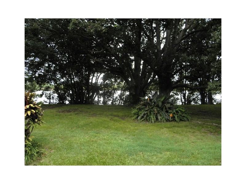 805 South Arm School Road, Brushgrove NSW 2460