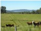 76 Mangrove Creek Road, Tullymorgan NSW 2463