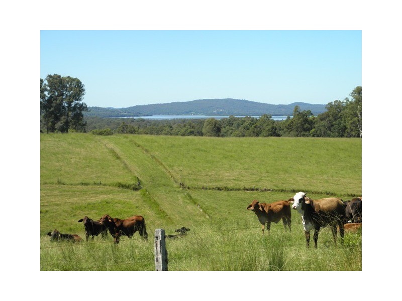 76 Mangrove Creek Road, Tullymorgan NSW 2463