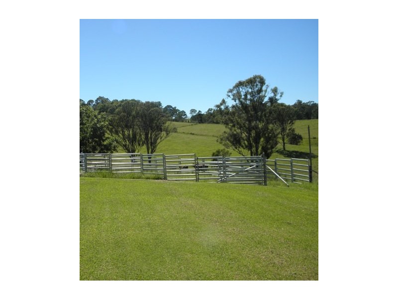 76 Mangrove Creek Road, Tullymorgan NSW 2463
