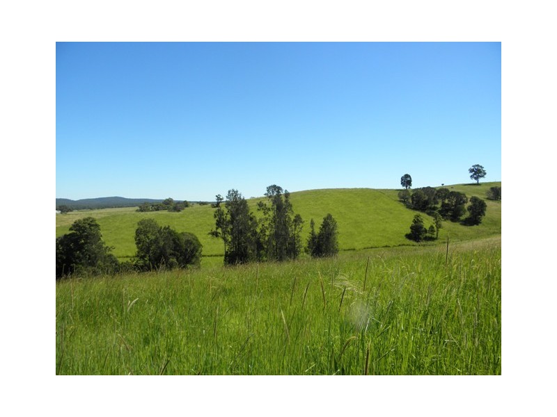 76 Mangrove Creek Road, Tullymorgan NSW 2463