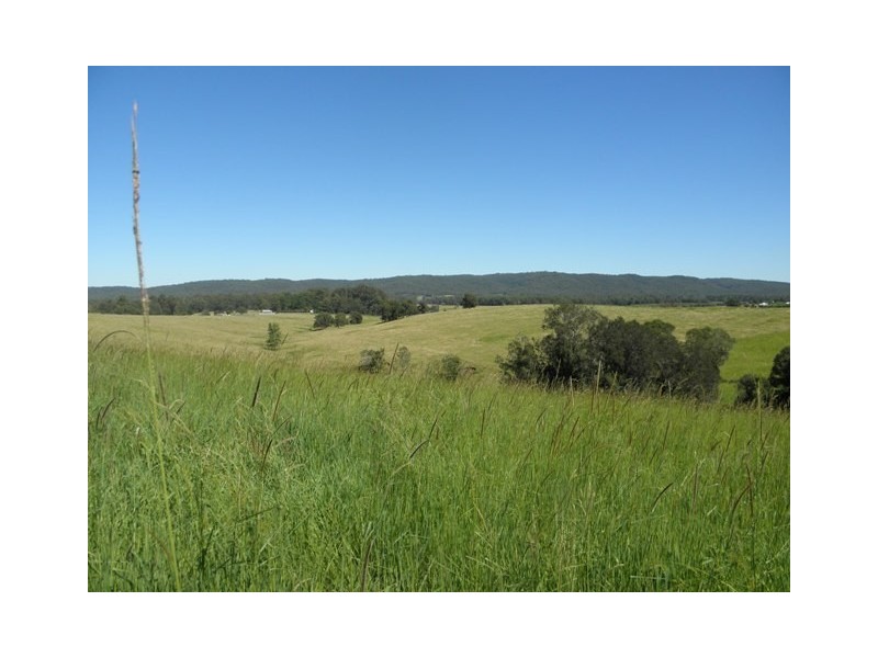 76 Mangrove Creek Road, Tullymorgan NSW 2463