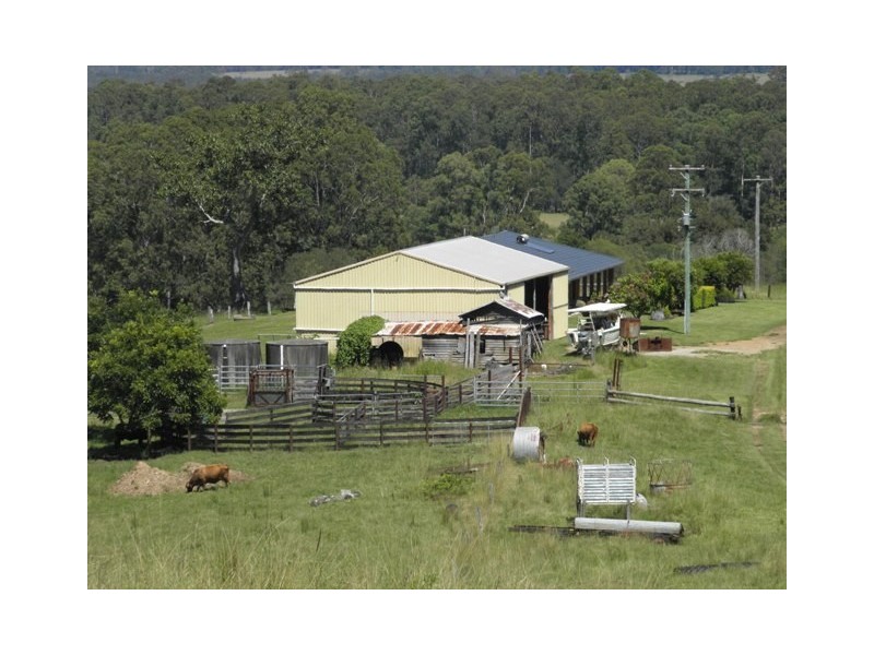 76 Mangrove Creek Road, Tullymorgan NSW 2463