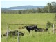 76 Mangrove Creek Road, Tullymorgan NSW 2463