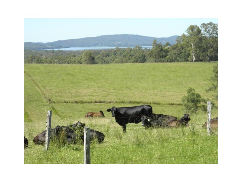 76 Mangrove Creek Road, Tullymorgan NSW 2463