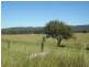 76 Mangrove Creek Road, Tullymorgan NSW 2463