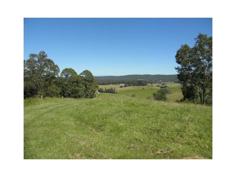 76 Mangrove Creek Road, Tullymorgan NSW 2463
