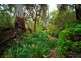 4970 Pringles Way, Lawrence NSW 2460