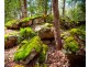 4970 Pringles Way, Lawrence NSW 2460