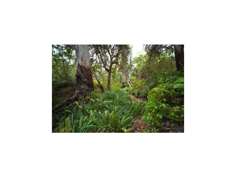 4970 Pringles Way, Lawrence NSW 2460
