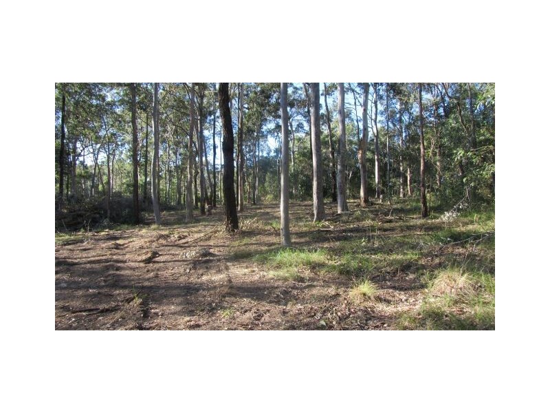 Lot 2/315 Tullymorgan Road, Ashby NSW 2463